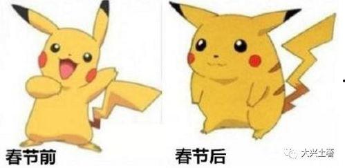 网红皮卡丘吃瓜视频,网红萌宠的趣味日常